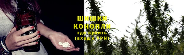 шишки Зеленокумск