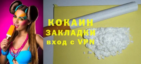 ешки Бородино