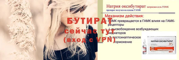 ешки Бородино