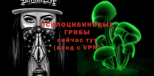ешки Бородино