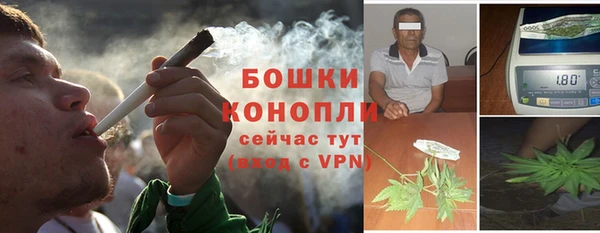 ECSTASY Бронницы