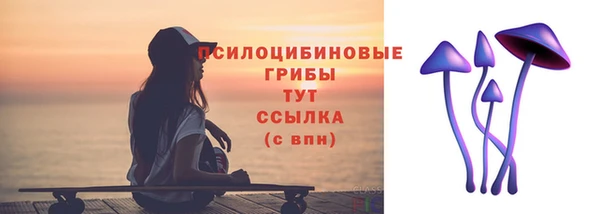 ешки Бородино