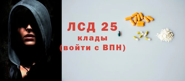 ешки Бородино