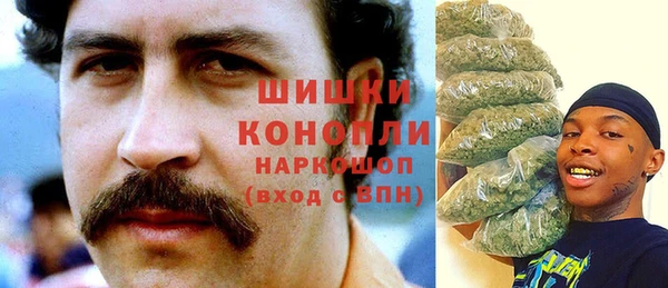 ECSTASY Бронницы