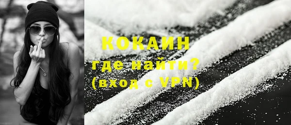 ешки Бородино
