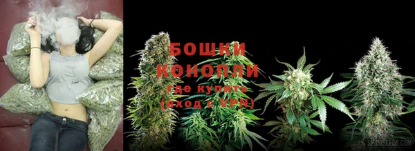 ECSTASY Бронницы